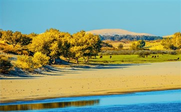 额济纳旗弱水金沙湾胡杨林-重庆旅行社