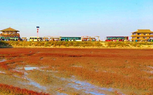 辽宁旅游：盘锦红海滩