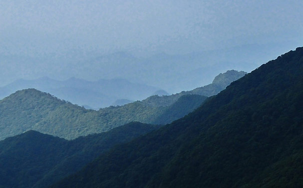 重庆旅游：金佛山