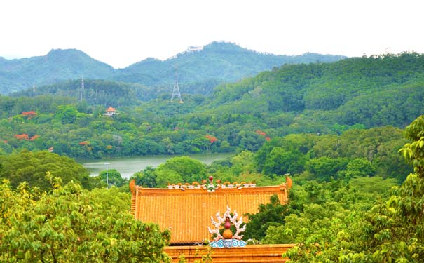 深圳旅游免费景点推荐：仙湖植物园
