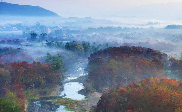 桂林旅游：乌桕滩秋季清晨