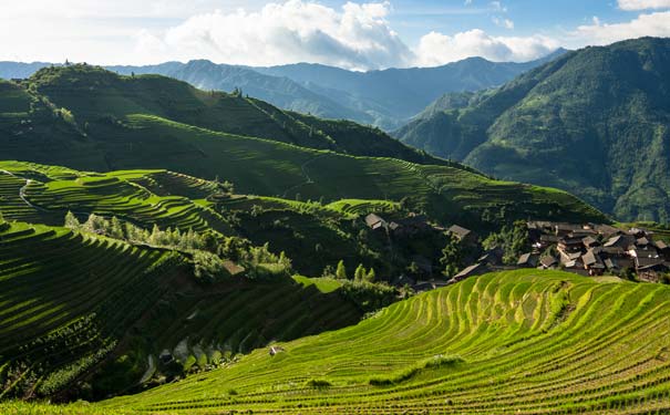 桂林旅游：龙脊梯田