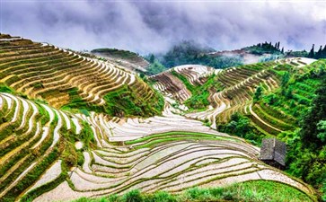 龙脊梯田