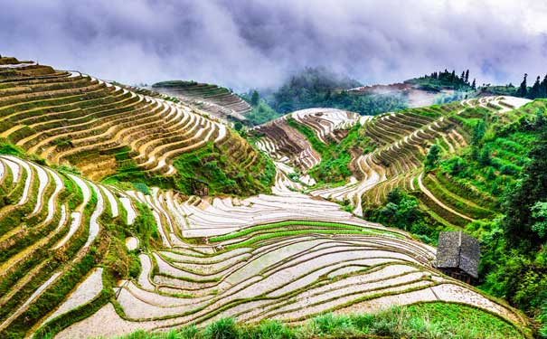 广西龙脊梯田