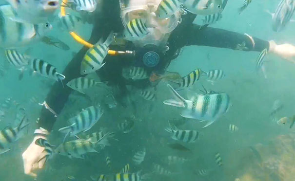 海南三亚旅游：西岛潜水