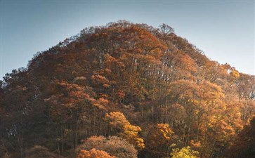 光雾山景区红叶