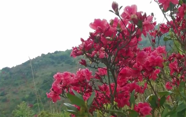 广州旅游：通天蜡烛山