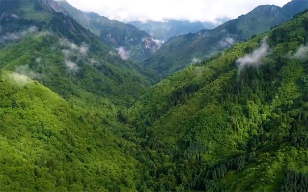 川西旅游：白马王朗国家级自然保护区夏季