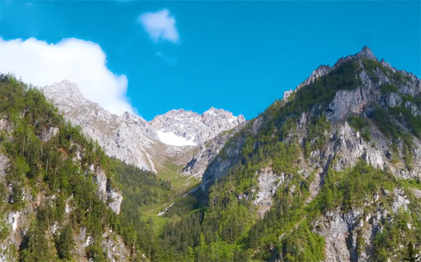 川西旅游：白马王朗国家级自然保护区夏季