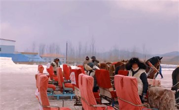 亚布力马拉爬犁-重庆旅行社