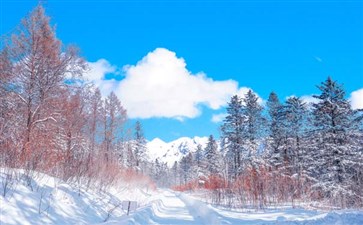 雪乡大雪谷-重庆旅行社