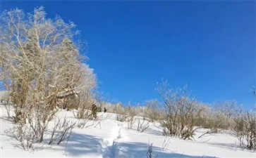 二浪河大秃顶子山