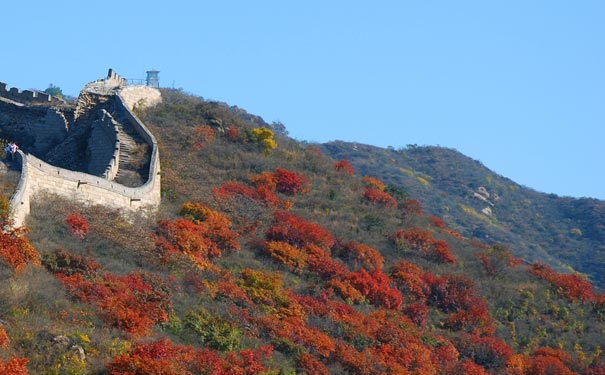 北京旅游赏枫推荐：北京八达岭长城红叶