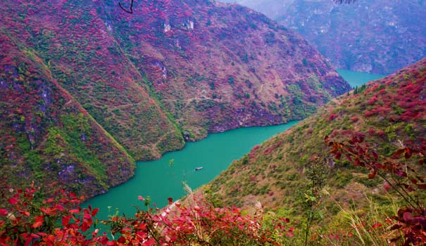 长江三峡旅游：巫山小三峡红叶
