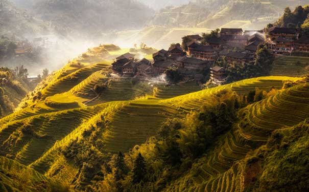 秋季广西旅游：龙脊梯田