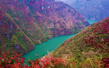 巫山小三峡红叶