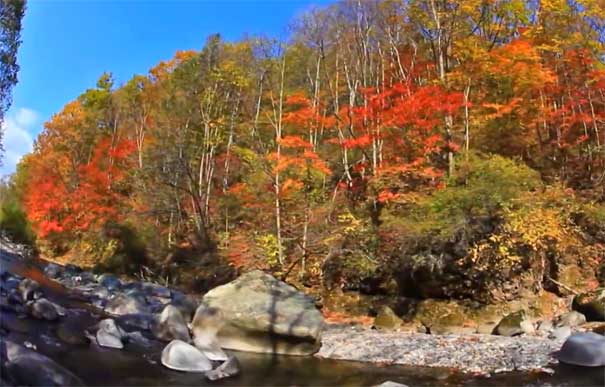 吉林长白山旅游：十五道沟十五道河秋景