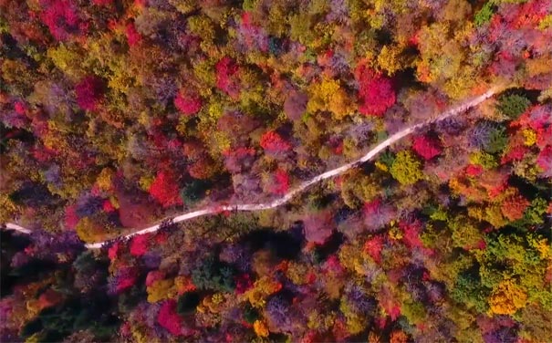 吉林旅游景点：寒葱岭红叶