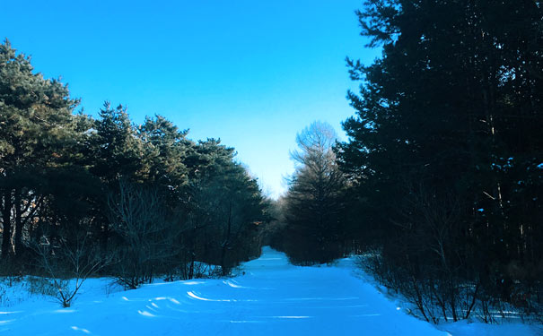 长春净月潭雪景