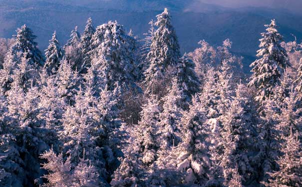 长白山北坡旅游景区：冬季雾凇