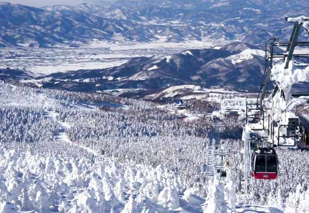 日本冬季旅游：山形县藏王冰树