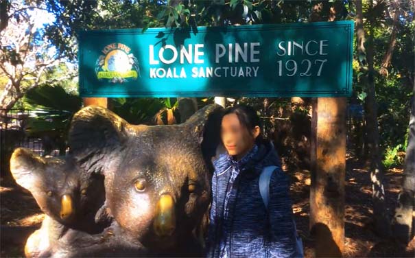 澳大利亚旅游：布里斯班龙柏考拉动物园