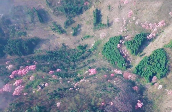 四川旅游：江油吴家后山