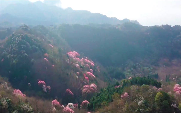 四川旅游：江油吴家后山