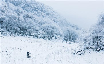 重庆金佛山雪景