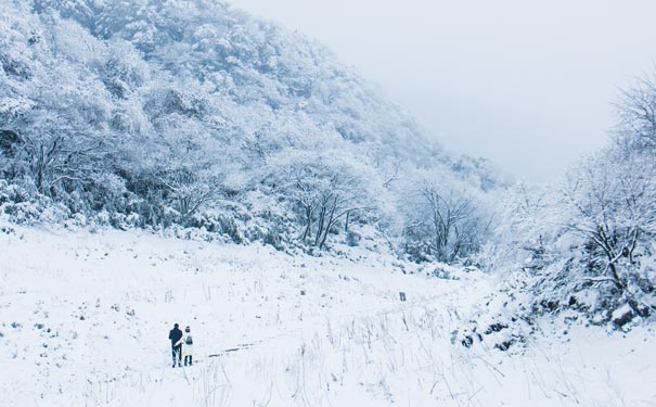 重庆周边雪景：南川金佛山雪景