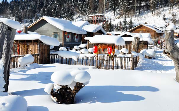 冬季东北旅游：黑龙江雪乡