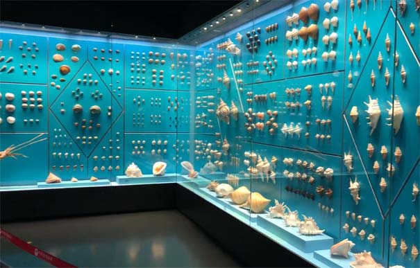 天津自然博物馆：海洋生物馆
