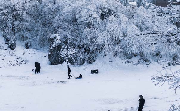 冬季峨眉山旅游：雪景