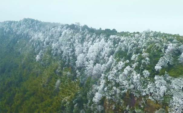 北碚缙云山雪景