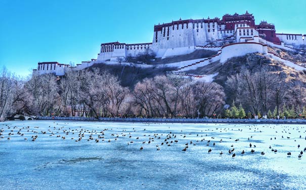 冬季西藏旅游：布达拉宫冬季景色