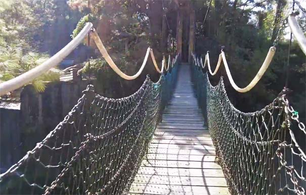 千岛湖旅游景点：天池岛铁索桥