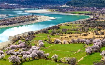 西藏林芝桃花节旅游-西藏旅游景点林芝桃花沟