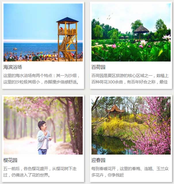 山东旅游：日照海滨国家森林公园内部景点