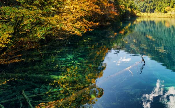 九寨沟旅游:天鹅湖 九寨沟旅游:天鹅湖