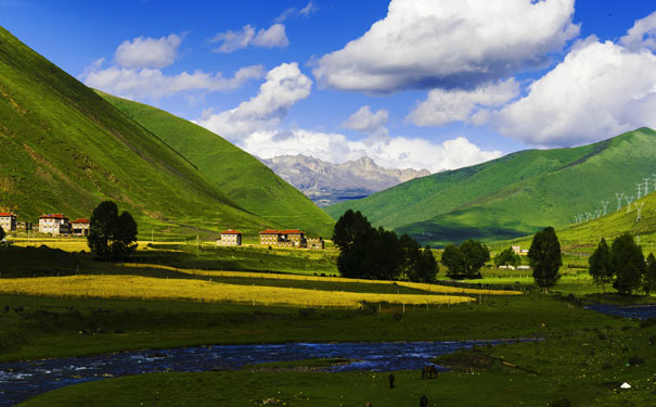 新都桥春夏风景