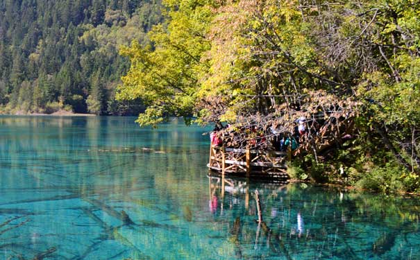 九寨沟旅游景点：五花海