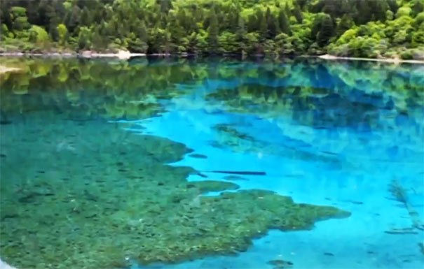 九寨沟旅游景点：季节海夏季景色