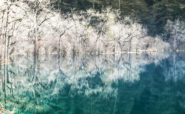 九寨沟旅游景点：老虎海