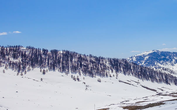 冬天新疆旅游推荐：阿勒泰地区雪景