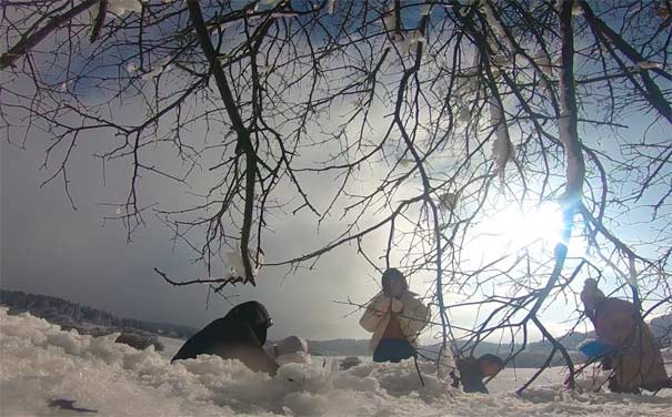 12月仙女山：仙女山国家森林公园大草原雪景