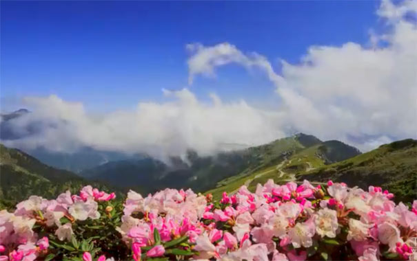 重庆周边旅游徒步线路推荐：武隆白马山