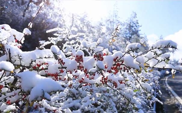 春节重庆自驾游线路推荐：云阳岐山草场雪景