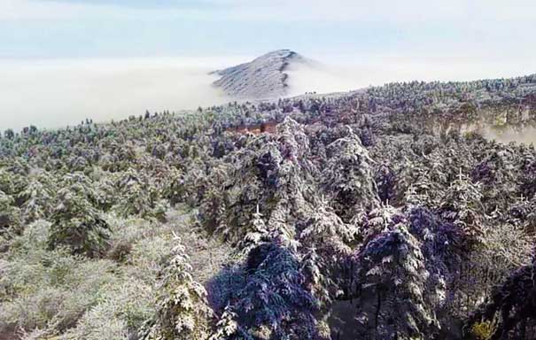 春节重庆自驾游线路推荐：金佛山北坡雪景