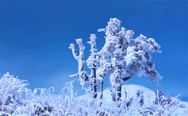 春节重庆自驾游线路推荐：湖北神农架雪景