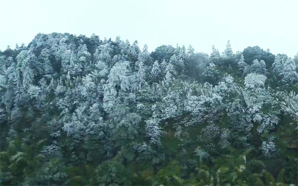 春节重庆自驾游线路推荐：缙云山雪景